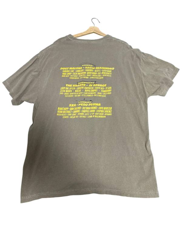 Sabrina Carpenter Grey Graphic Tee