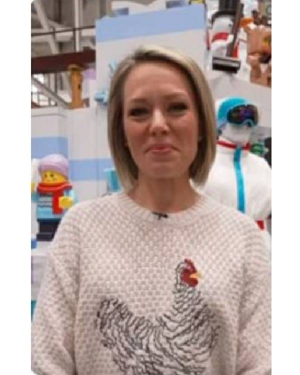 The Today Show Dylan Dreyer White Embroidered Chicken Sweater